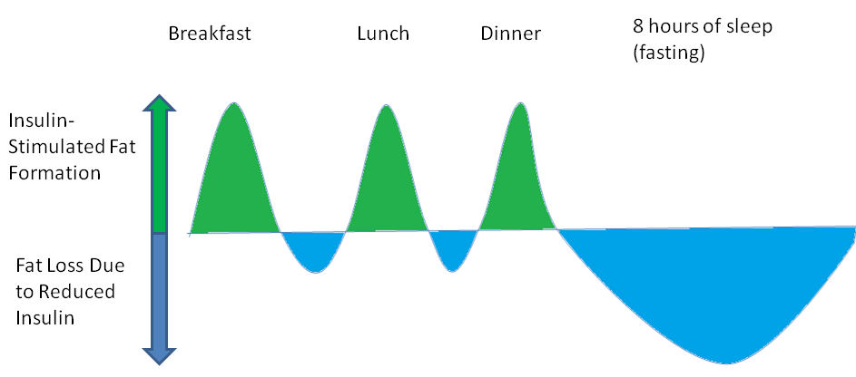 Insulin Response Chart