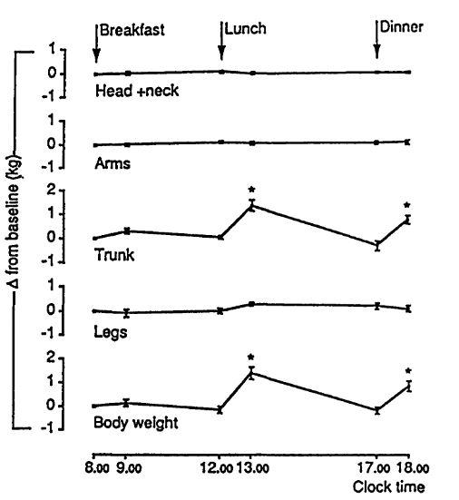 How To Interpret Your Body Fat Test - Invictus Fitness