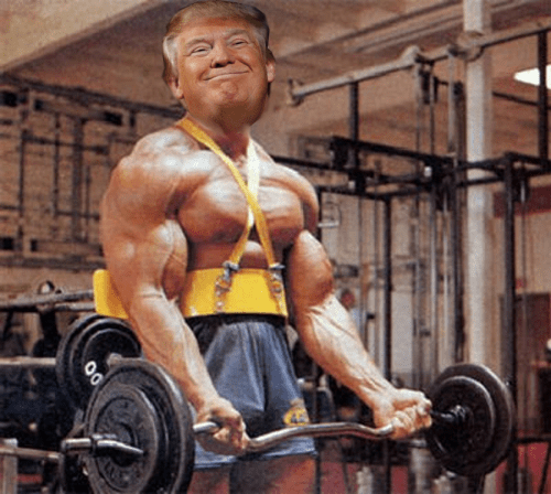 https://weightology.net/wp-content/uploads/2017/02/pump-the-trump-1-e1486161020422.png