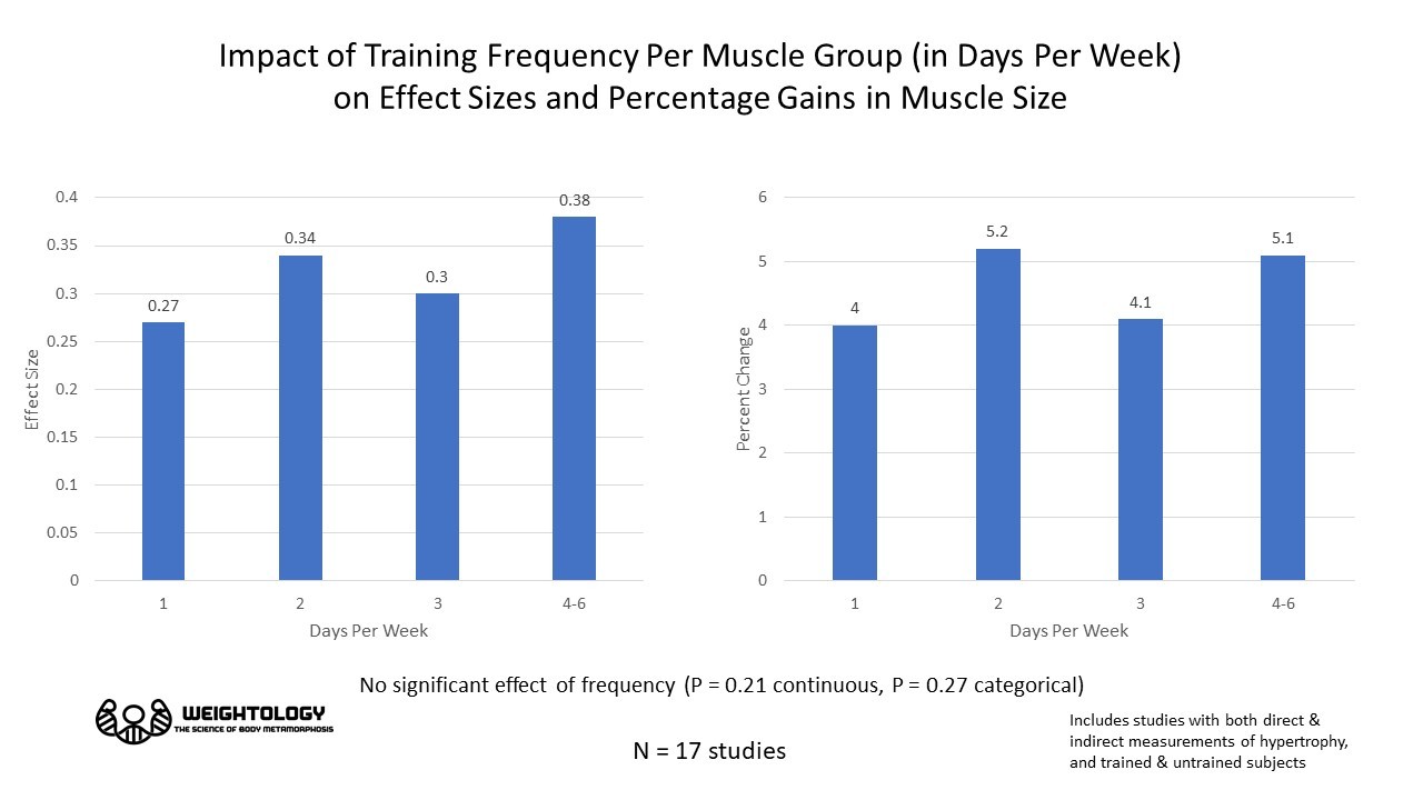 Training Frequency for Hypertrophy The EvidenceBased Bible Weightology