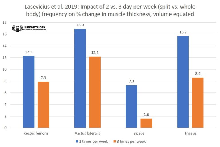 Training Frequency for Hypertrophy The EvidenceBased Bible Weightology